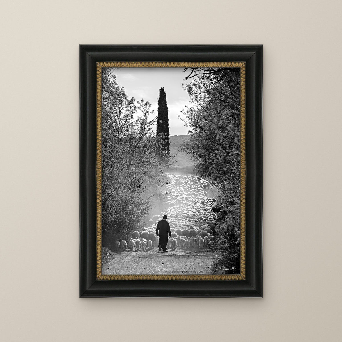 The Flock's Way – fine art print by Duccio Nacci, size L/XL/XXL, with black and gold frame