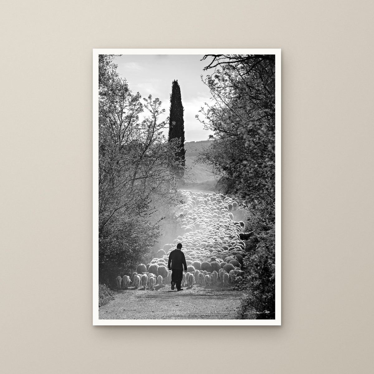 The Flock's Way – fine art print by Duccio Nacci, size L/XL/XXL, print only