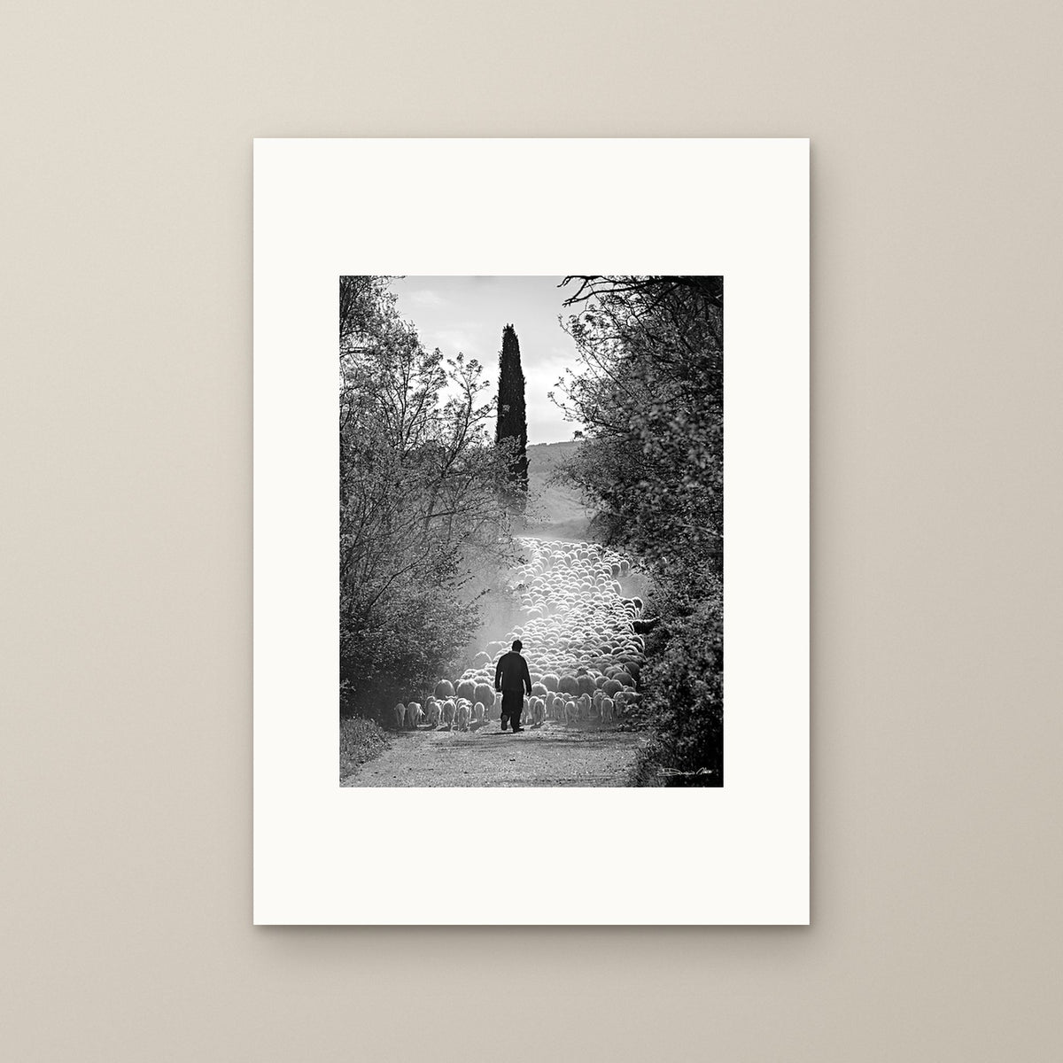 The Flock's Way – fine art print by Duccio Nacci, size M, print only on A2 paper (42 × 59.4 cm)