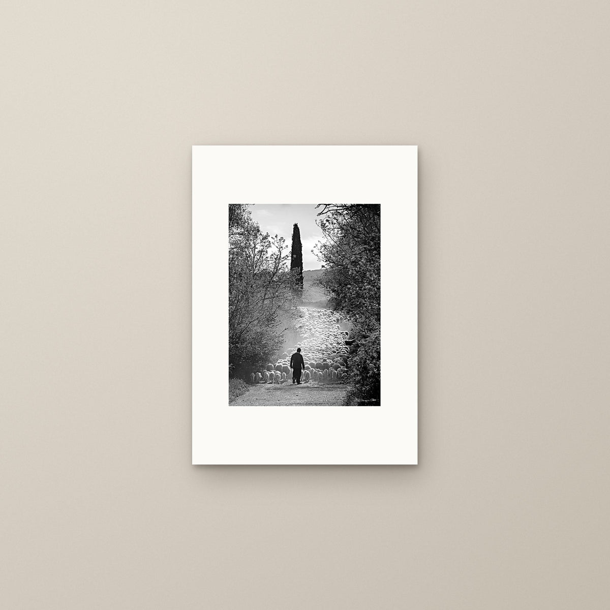The Flock's Way – fine art print by Duccio Nacci, size S, print only on A3 paper (29.7 × 42 cm)