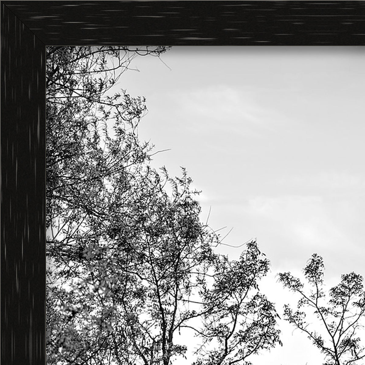 The Flock's Way – fine art print by Duccio Nacci, thin frame corner detail