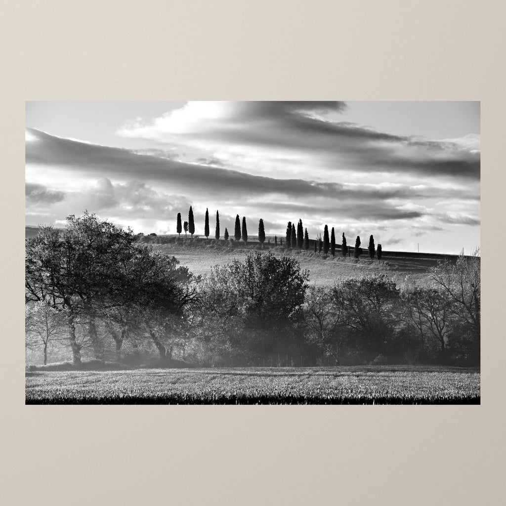 The Hill of Cypresses - Duccio Nacci