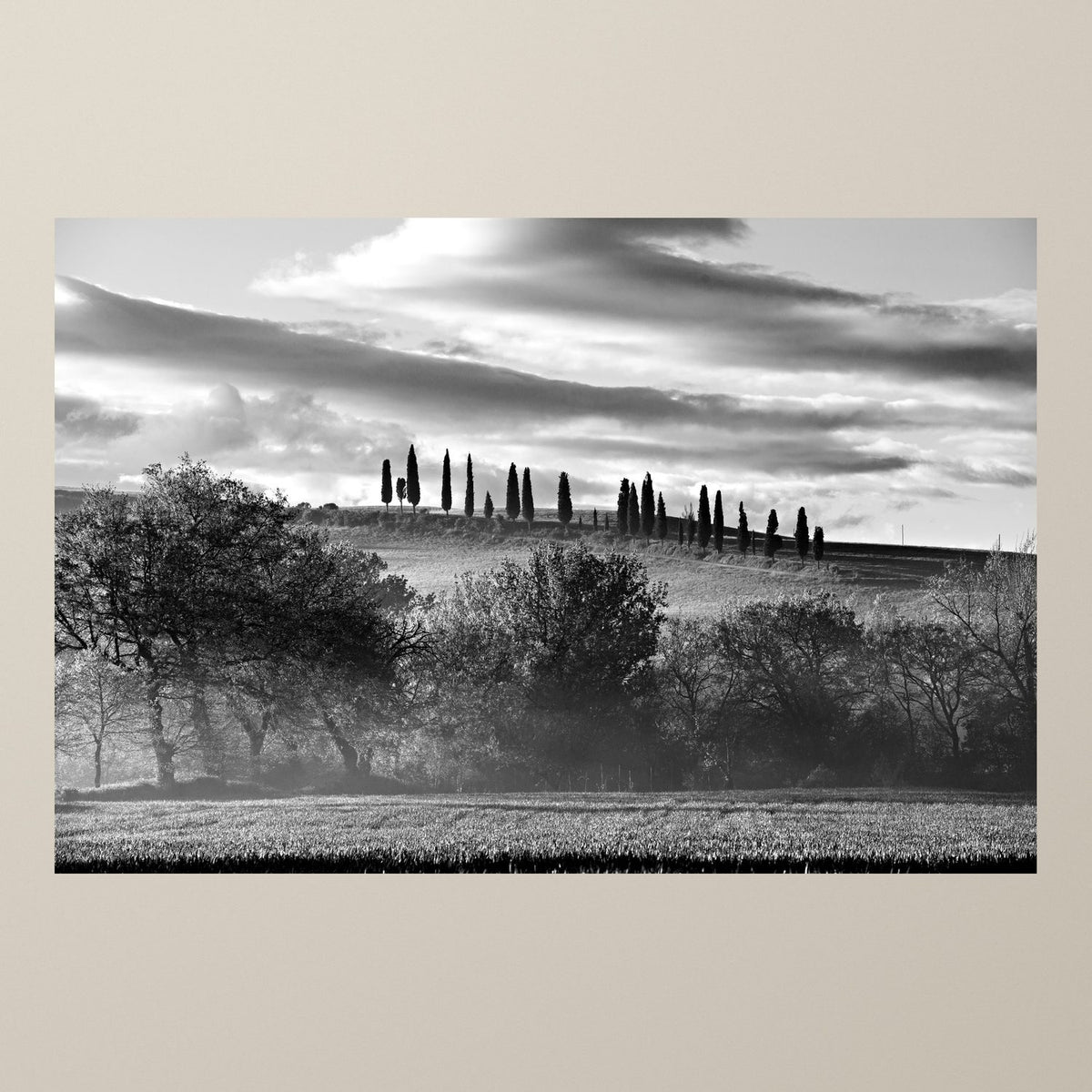 The Hill of Cypresses - Duccio Nacci