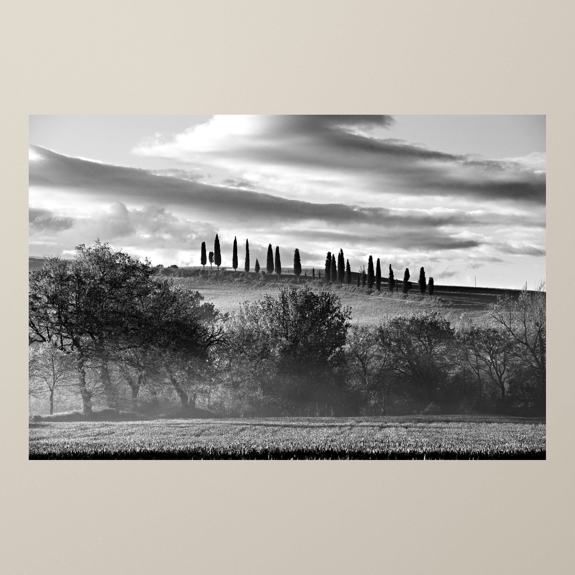 La collina dei cipressi