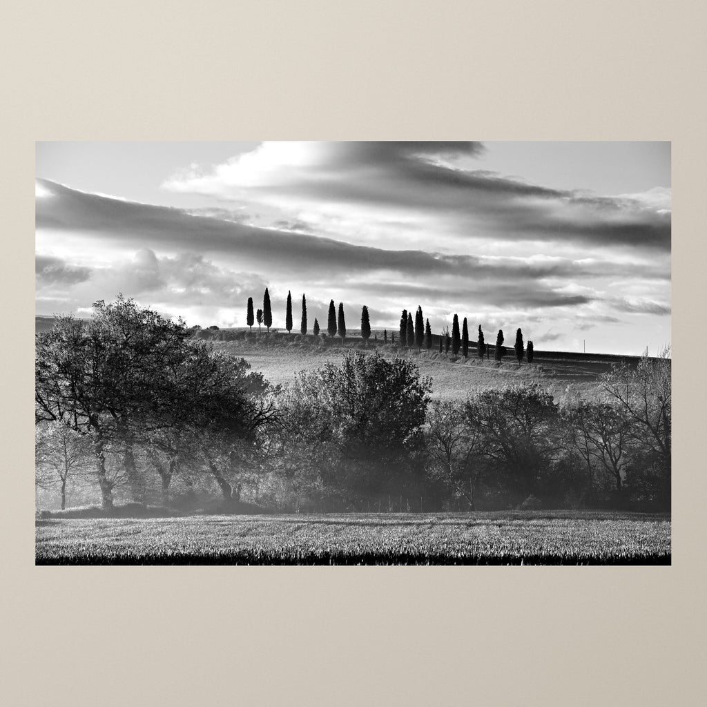 The Hill of Cypresses – Dawn mist in the Val d'Orcia and a row of cypresses on the ridge – photograph by Duccio Nacci