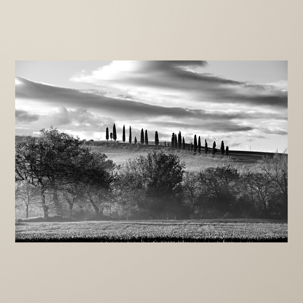 The Hill of Cypresses – Dawn mist in the Val d'Orcia and a row of cypresses on the ridge – photograph by Duccio Nacci