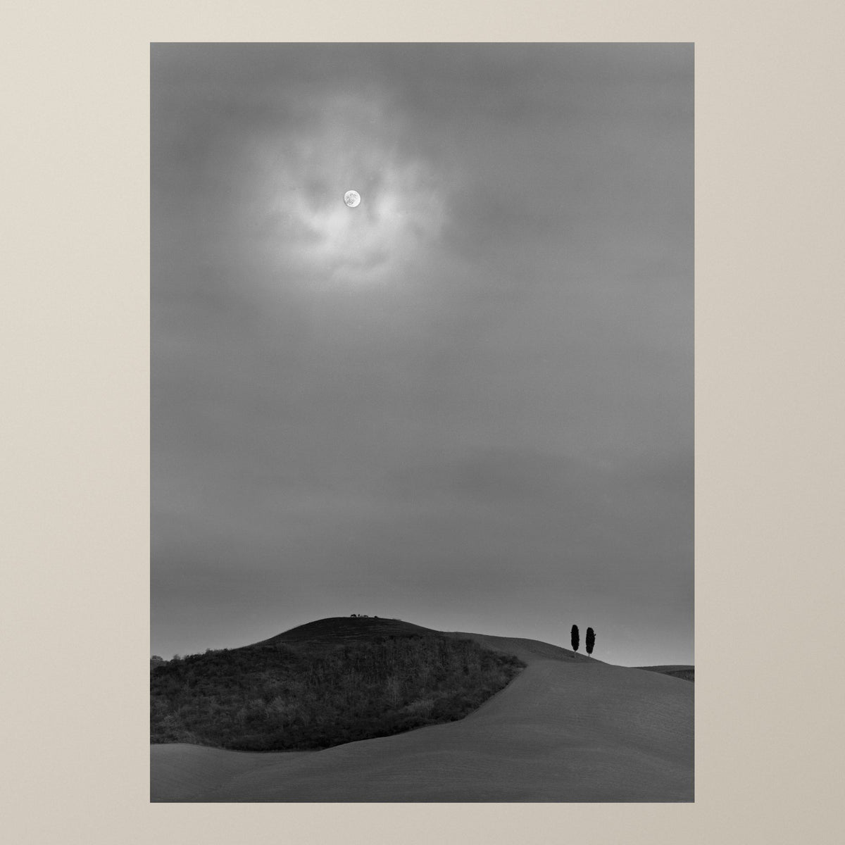 The Moonlight – Two cypress trees on a lonely Tuscan hill under the pale light of the moon – photograph by Duccio Nacci