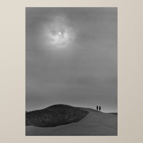 The Moonlight – Two cypress trees on a lonely Tuscan hill under the pale light of the moon – photograph by Duccio Nacci