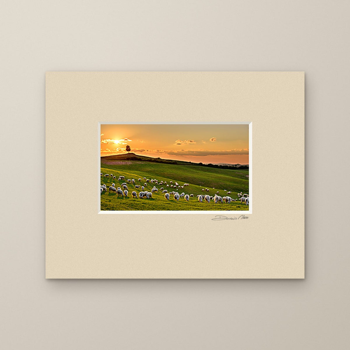 The Pasture at Sunset – fine art print by Duccio Nacci, size 24×30, print with white mat