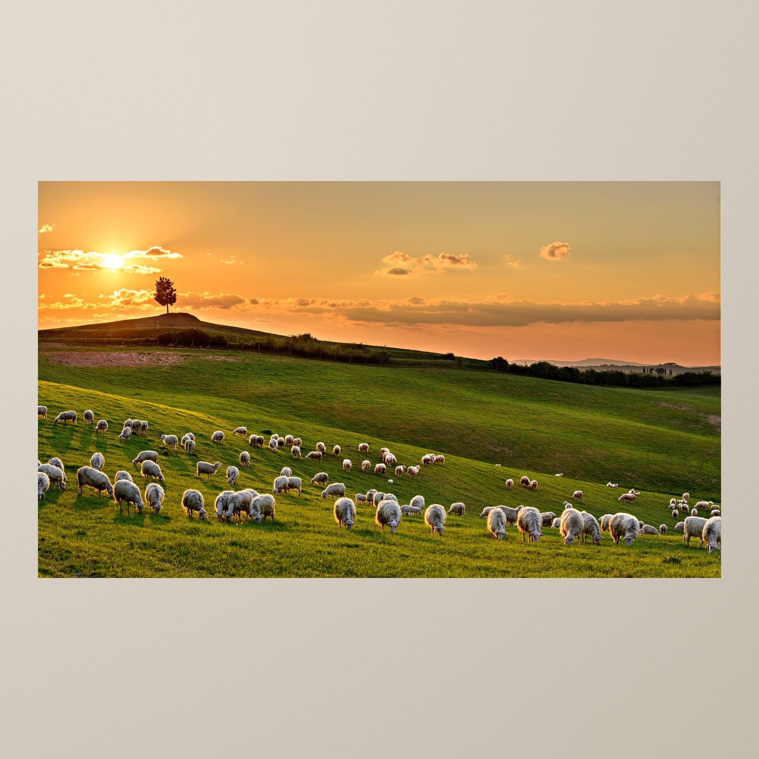 The Pasture at Sunset