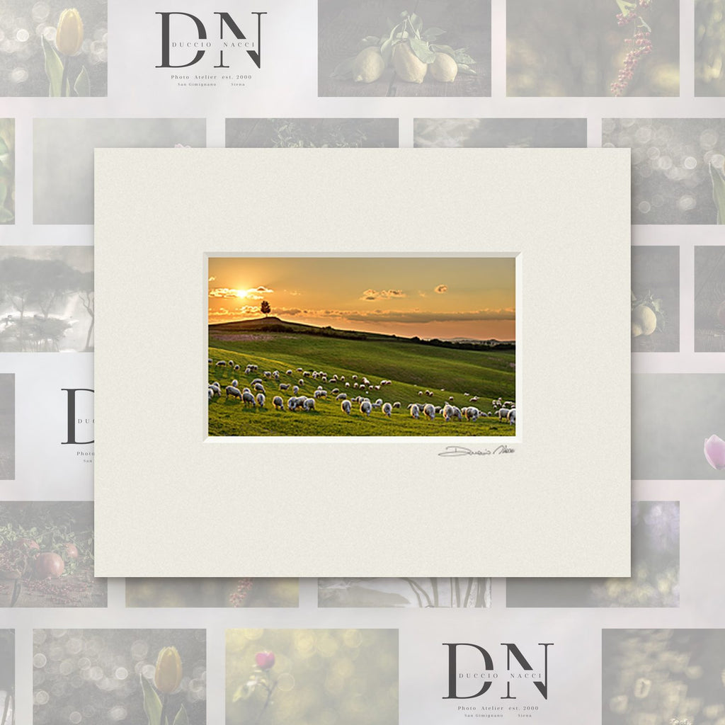 The Pasture at Sunset