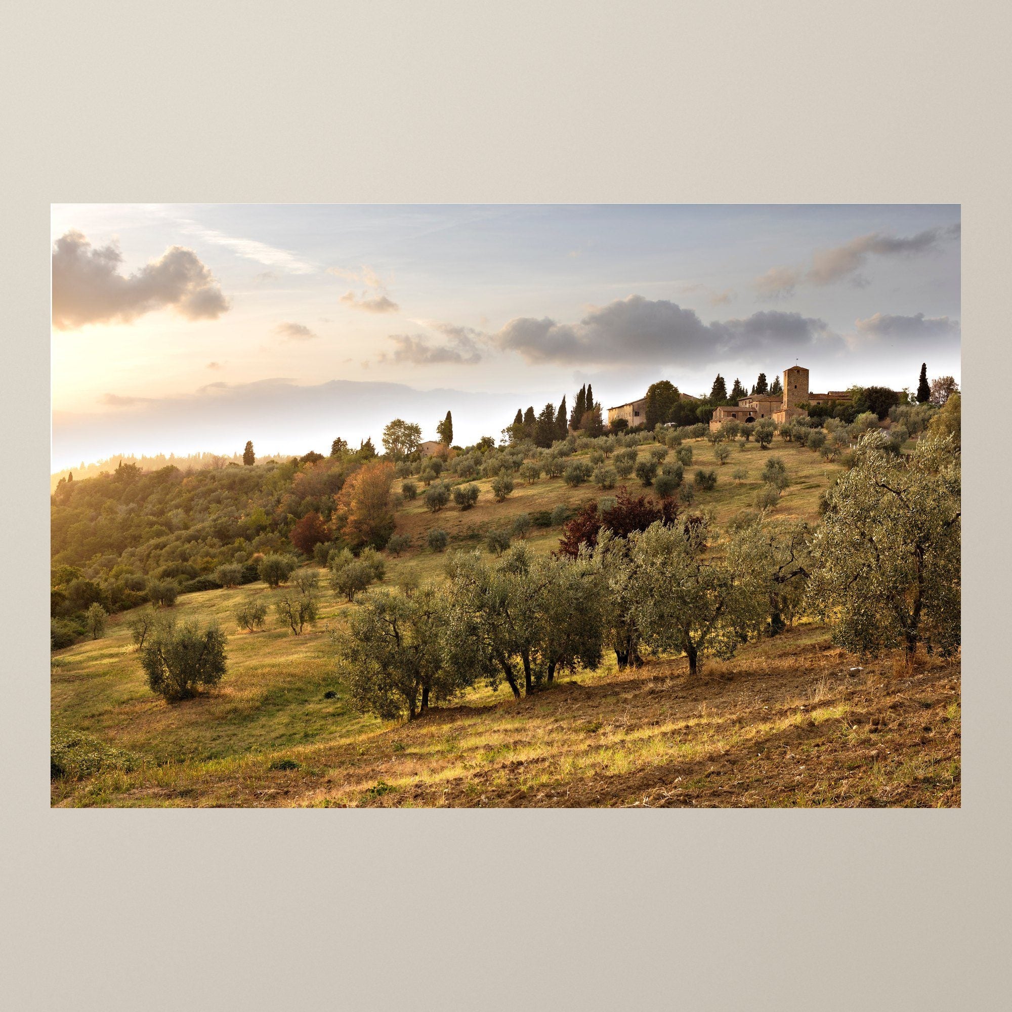 The Quiet of the Olives