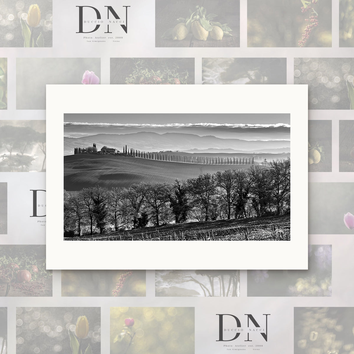 Tuscan Silence – fine art print by Duccio Nacci, size XS, print only on A2 paper (42 × 59.4 cm)