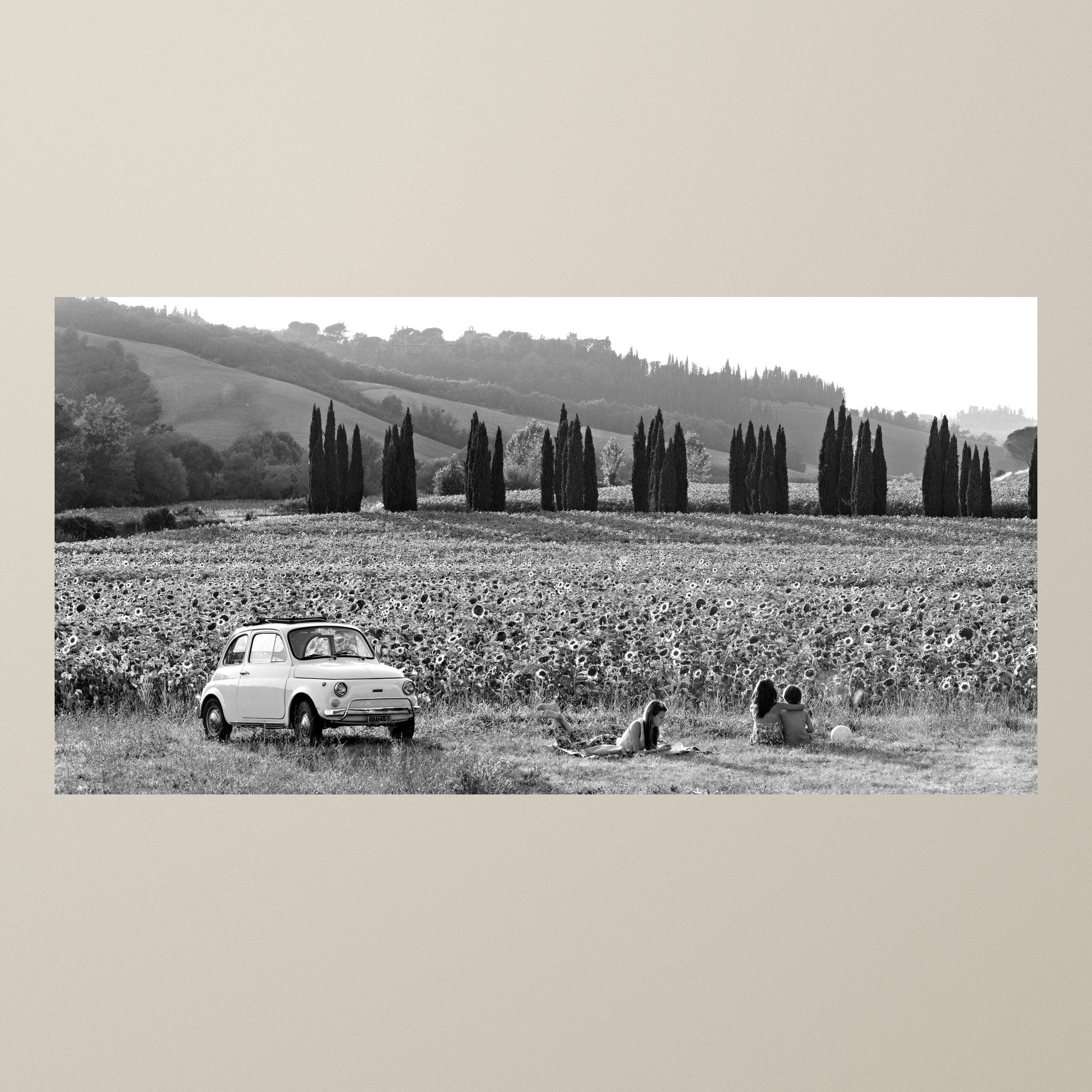La strada dei girasoli