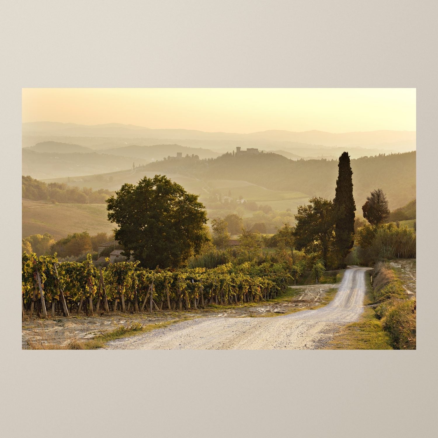 The Road to Strozzavolpe