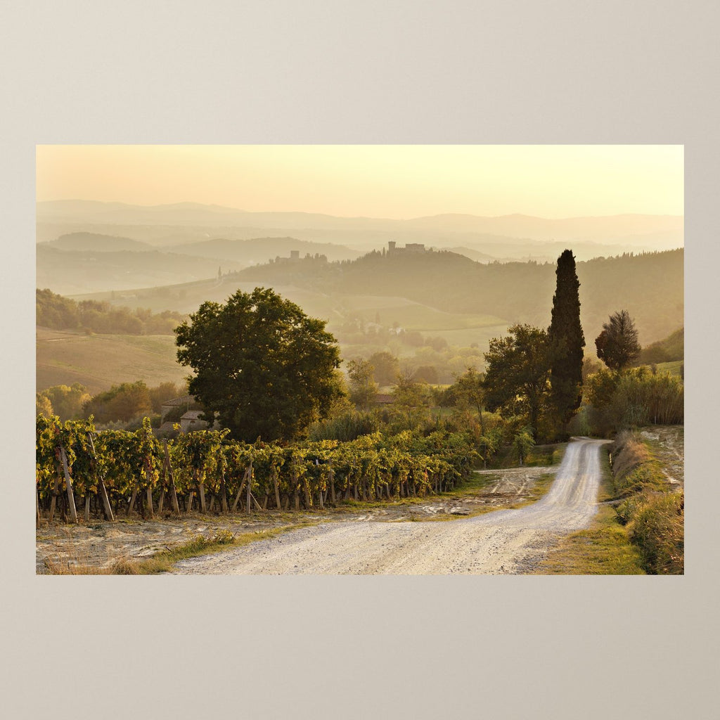 The Road to Strozzavolpe - Duccio Nacci