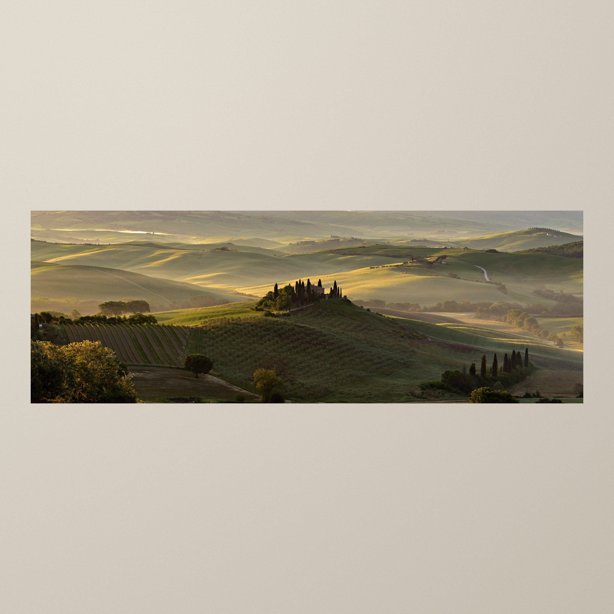 The Suspended Landscape - Stretched