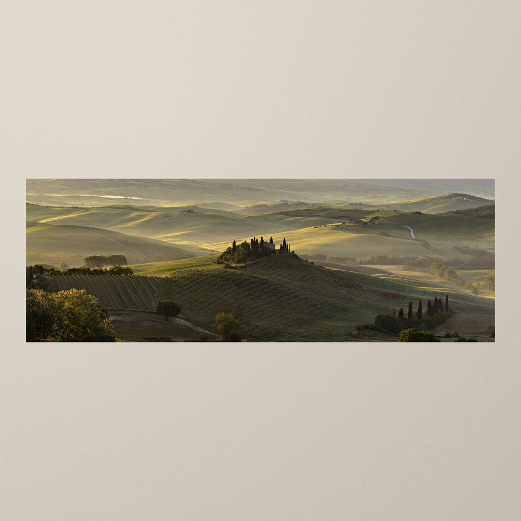 The Suspended Landscape - Stretched – Panoramic view of the Val d'Orcia at dawn, cypresses around a villa – photograph by Duccio Nacci