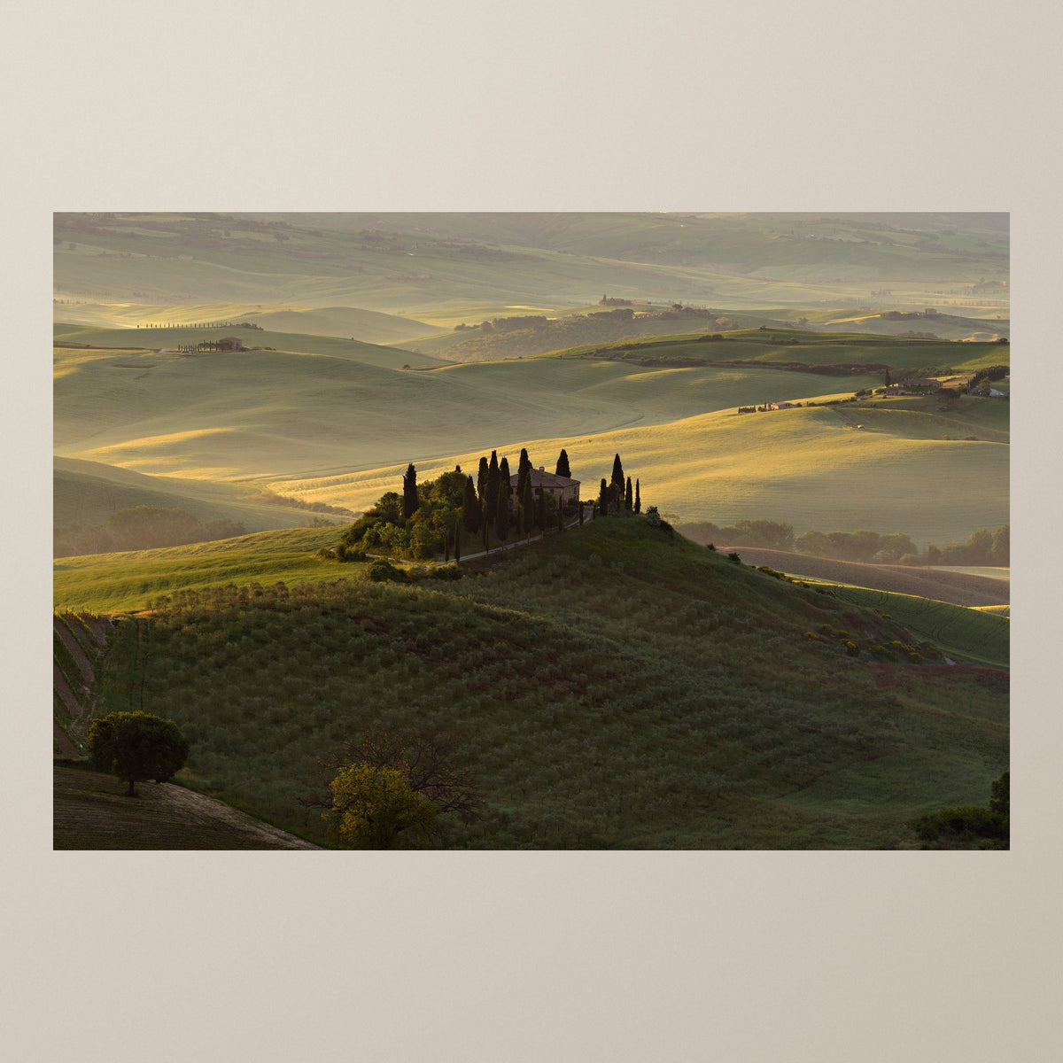 The Suspended Landscape – Dawn light over the Val d'Orcia hills and a villa among ancient cypresses – photograph by Duccio Nacci
