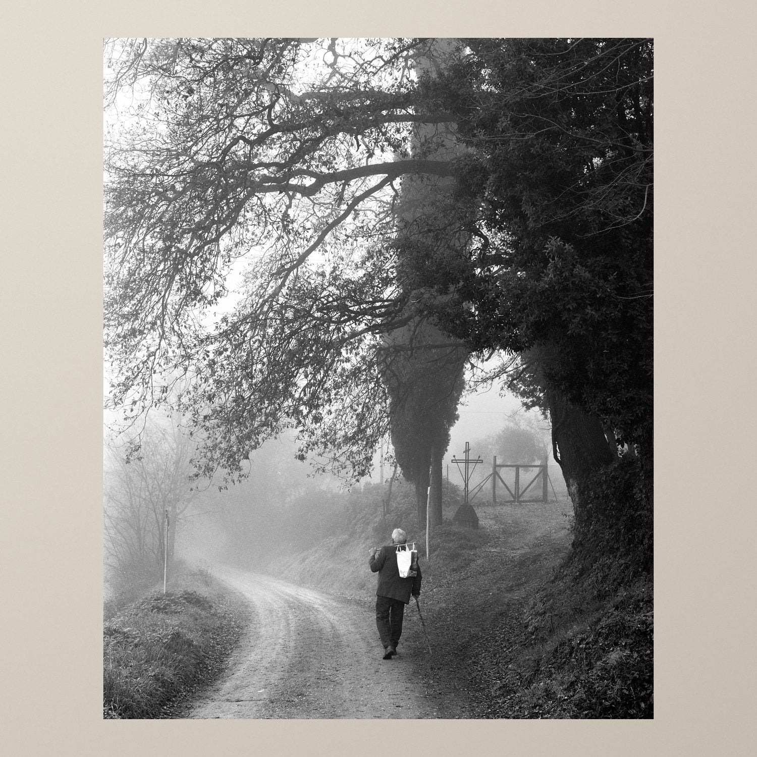 The Wanderer in the Mist
