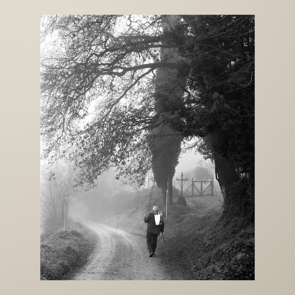 The Wanderer in the Mist – A lone man walks a misty path beneath an arch of trees in the Tuscan countryside – photograph by Duccio Nacci