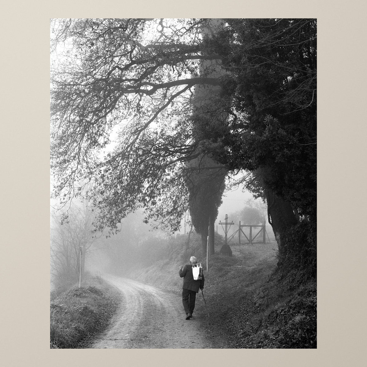 The Wanderer in the Mist – A lone man walks a misty path beneath an arch of trees in the Tuscan countryside – photograph by Duccio Nacci