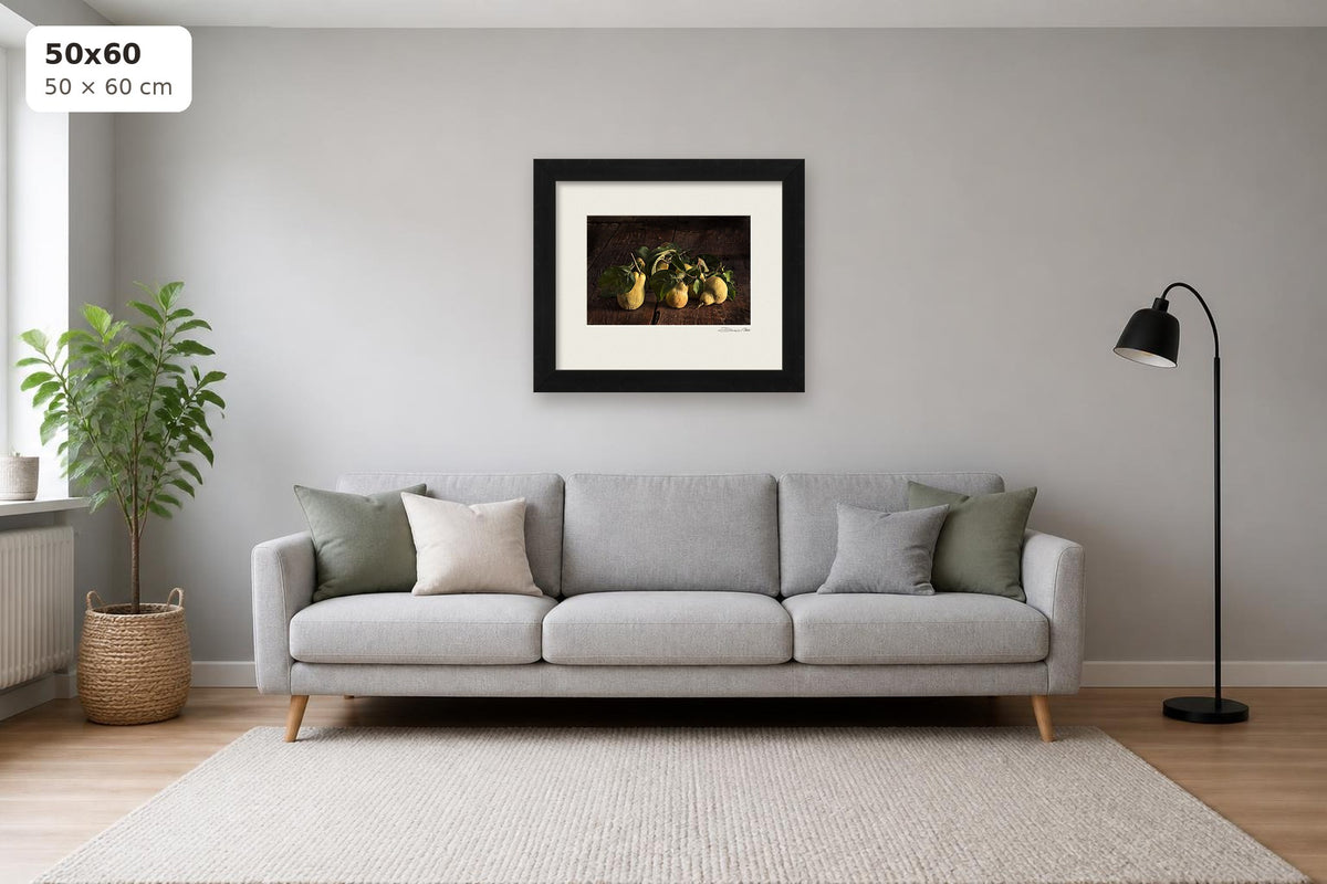 Time of the Quince – fine art print by Duccio Nacci, size 50×60 cm shown above a sofa