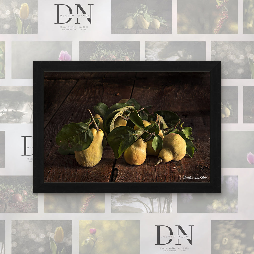 Time of the Quince – fine art print by Duccio Nacci, size L/XL/XXL, with black frame