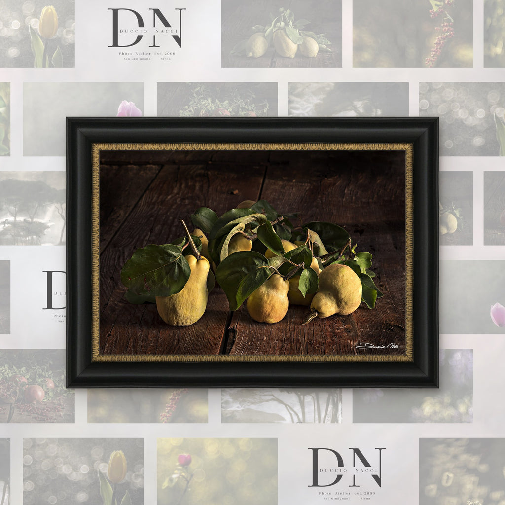 Time of the Quince – fine art print by Duccio Nacci, size L/XL/XXL, with black and gold frame