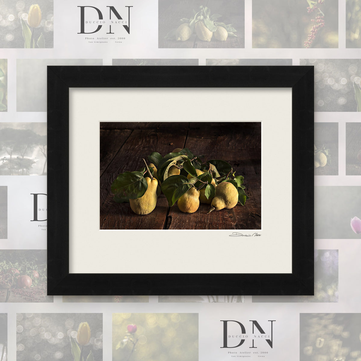 Time of the Quince – fine art print by Duccio Nacci, size M, with black frame and white mat