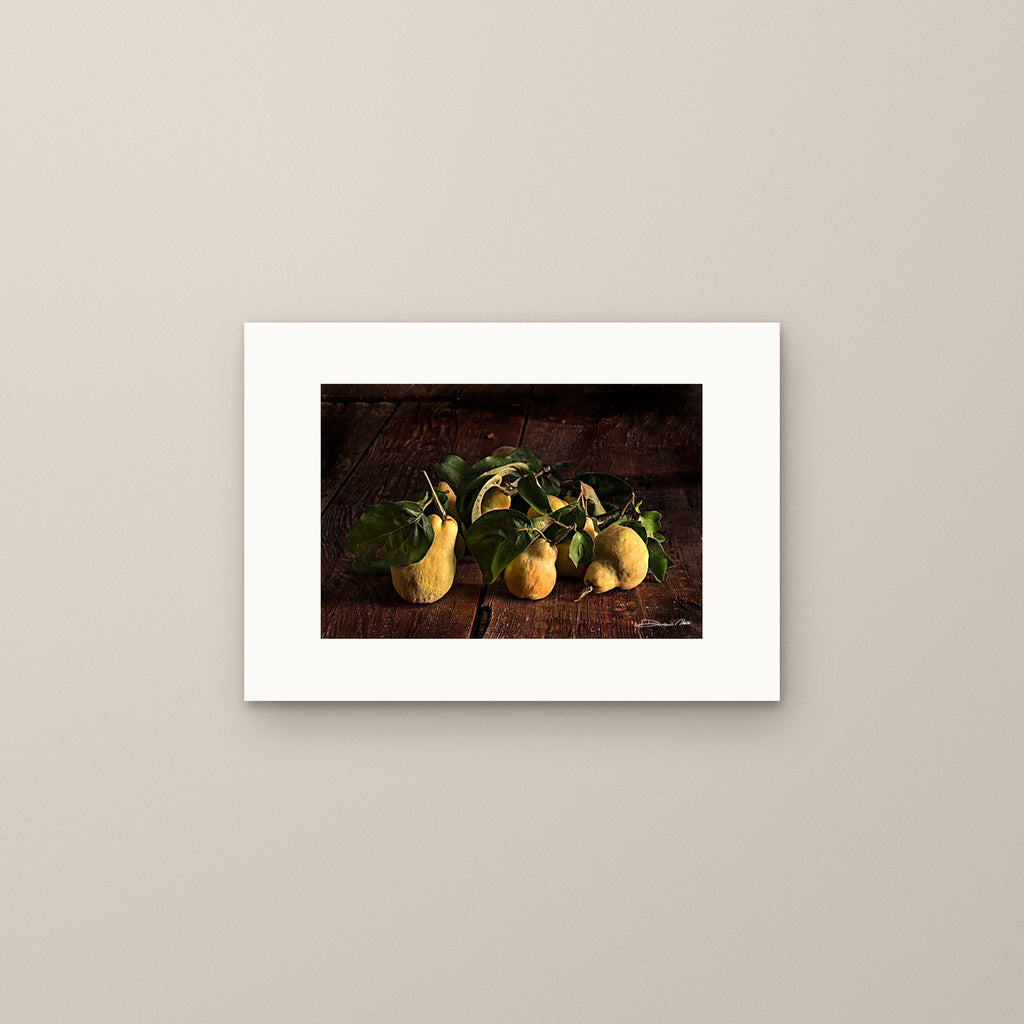 Time of the Quince – fine art print by Duccio Nacci, size S, print only on A3 paper (29.7 × 42 cm)