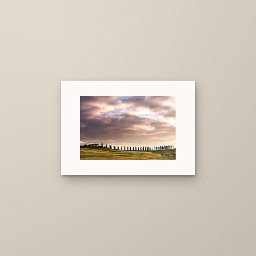 Timeless Cypress – fine art print by Duccio Nacci, size S, print only on A3 paper (29.7 × 42 cm)
