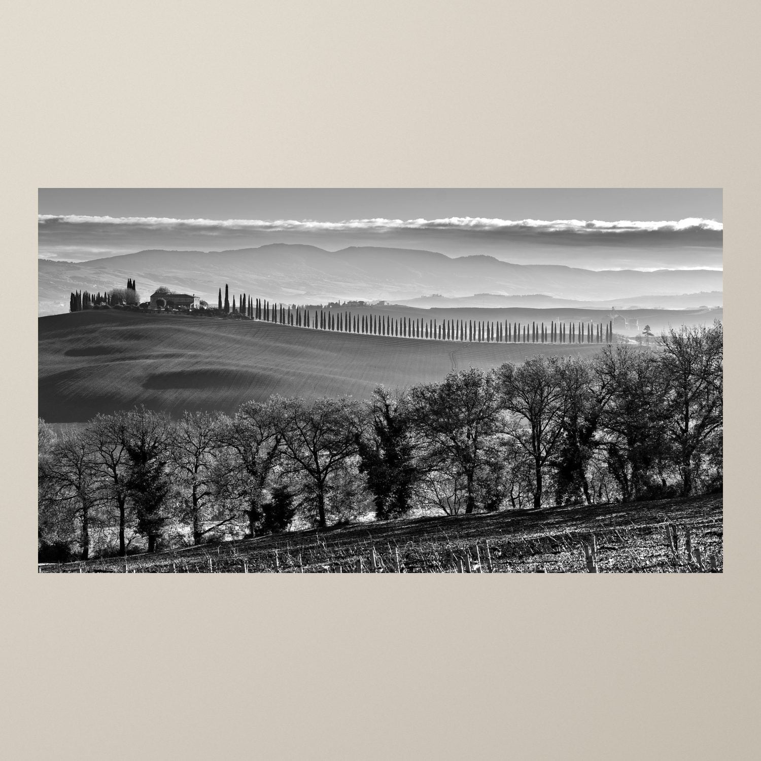 Tuscan Silence