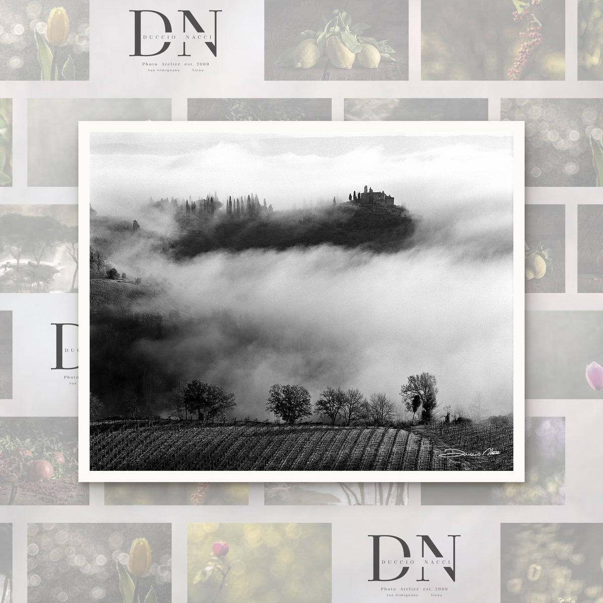 Whispers in the Mist – fine art print by Duccio Nacci, size L/XL/XXL, print only