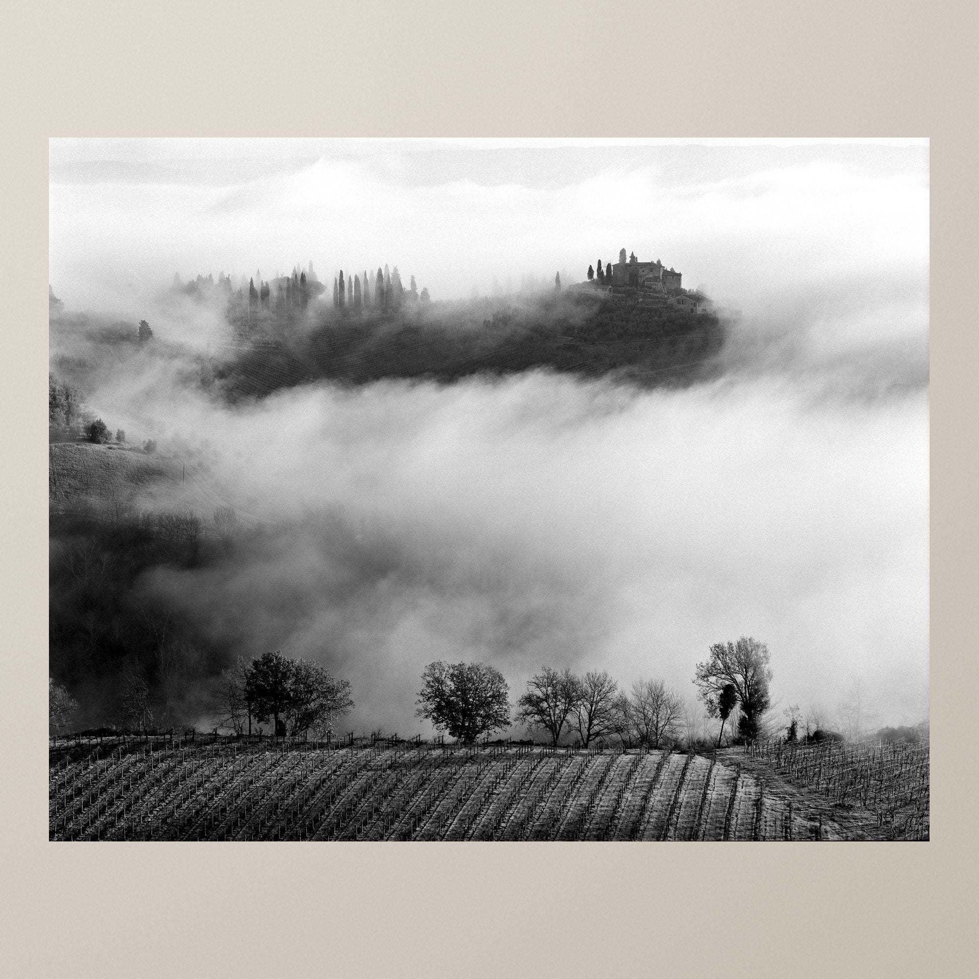 Sussurri nella nebbia